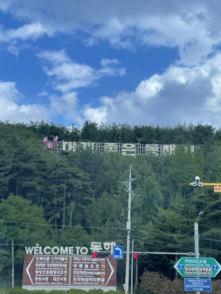 솔솔밀크티 이미지