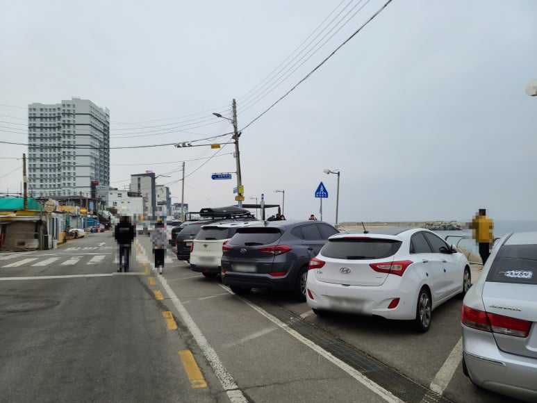 해바라기6047 이미지