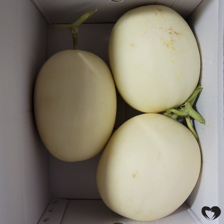 역전우동0410 인천서창점 이미지