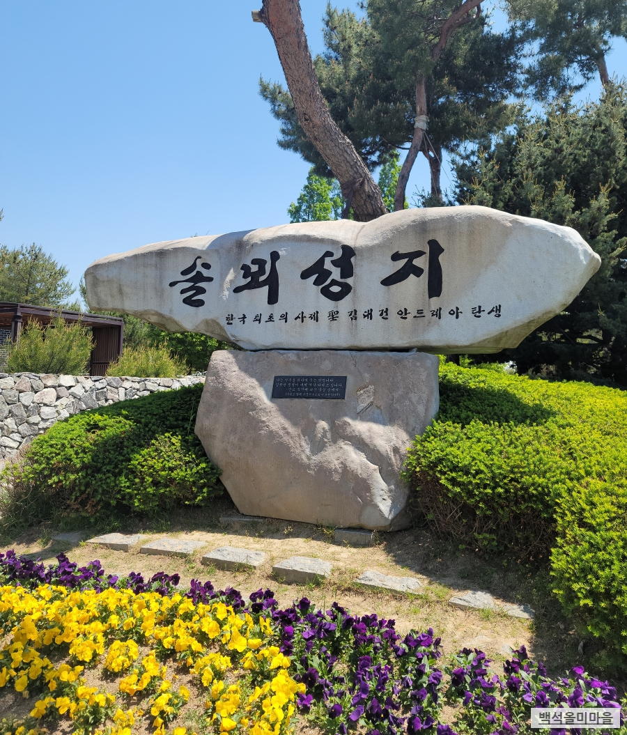 솔뫼푸드 이미지