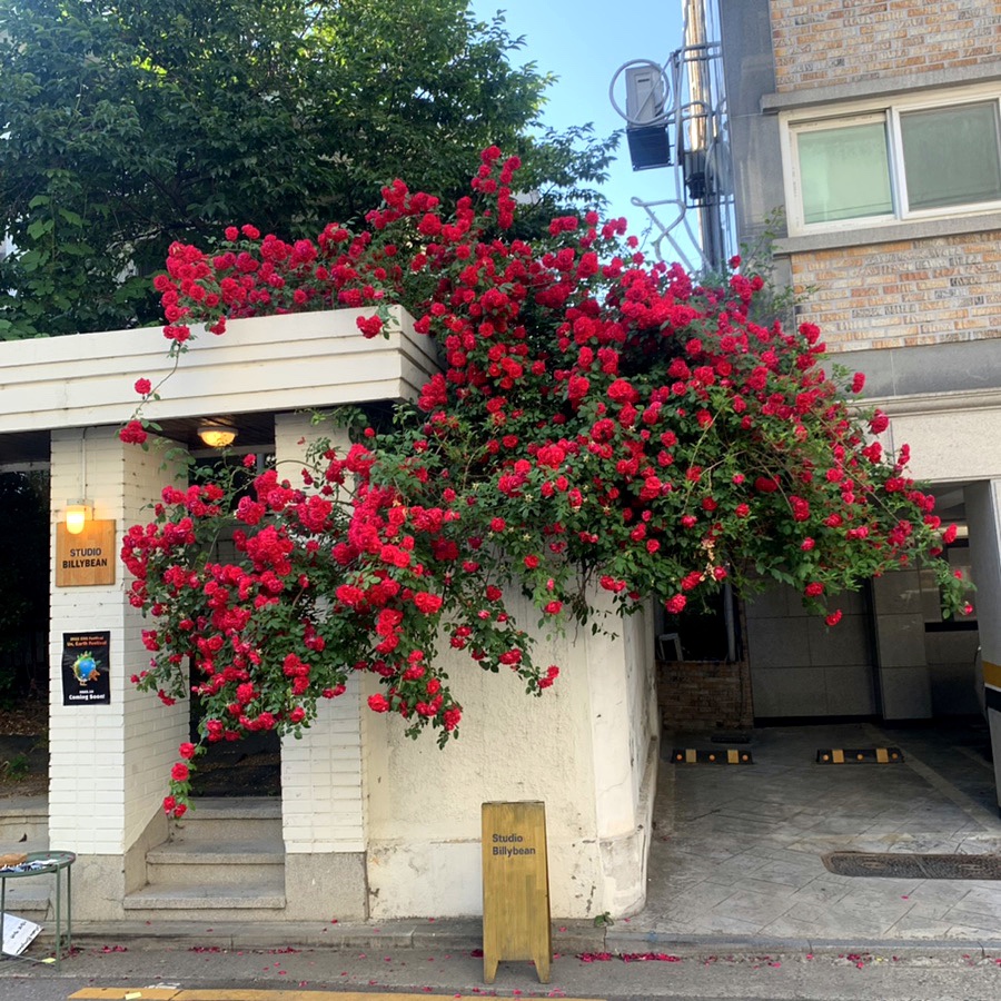 빈뮤직스튜디오 이미지