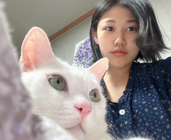 33돼지야 이미지