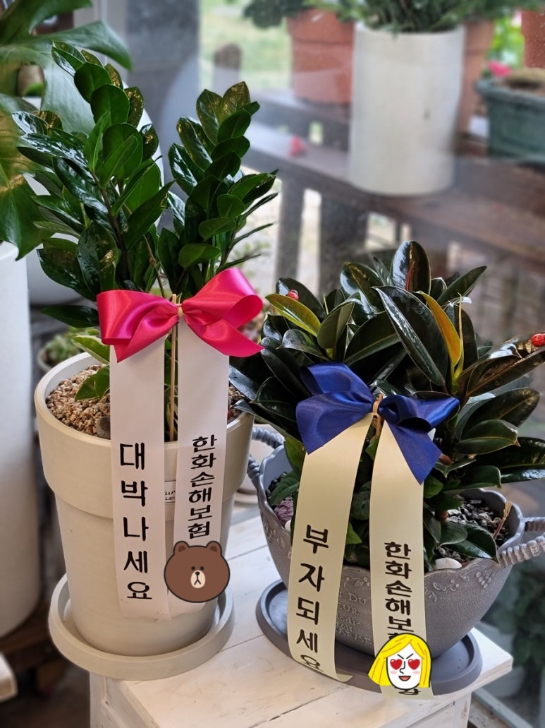 벌크커피하남산단 이미지
