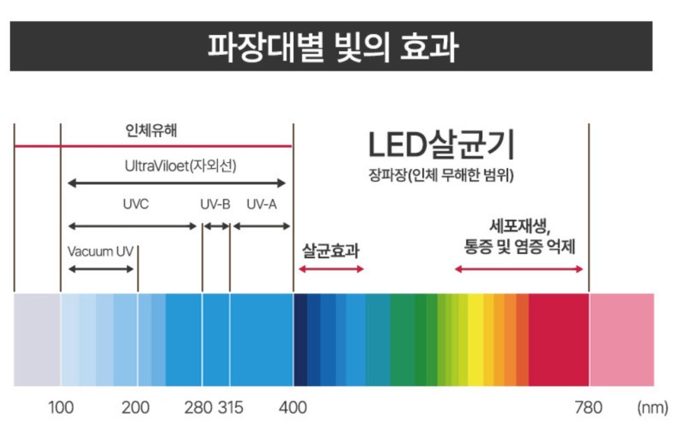 제디 이미지