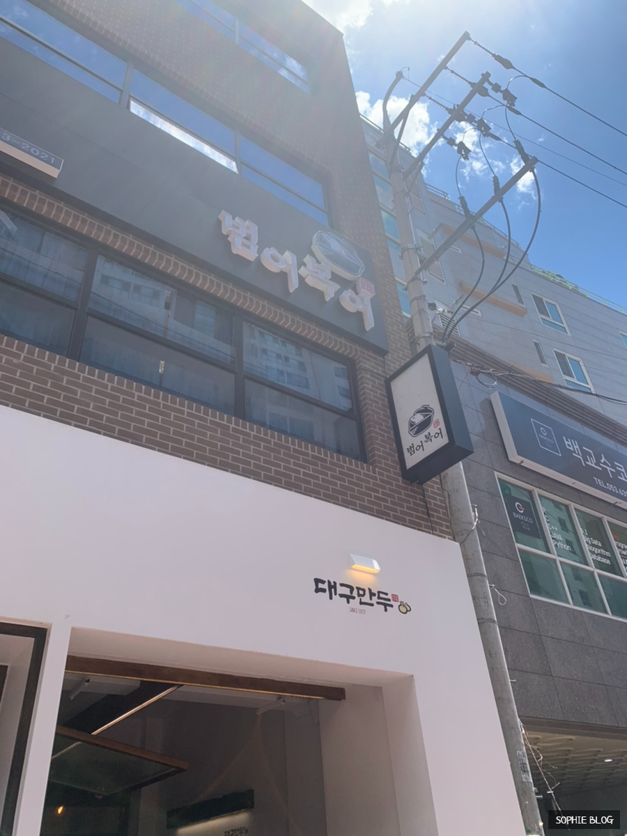 범어복어 이미지