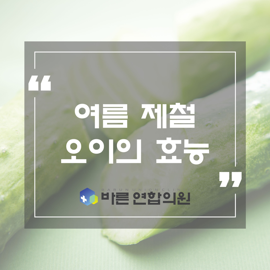 편안한연합의원 이미지