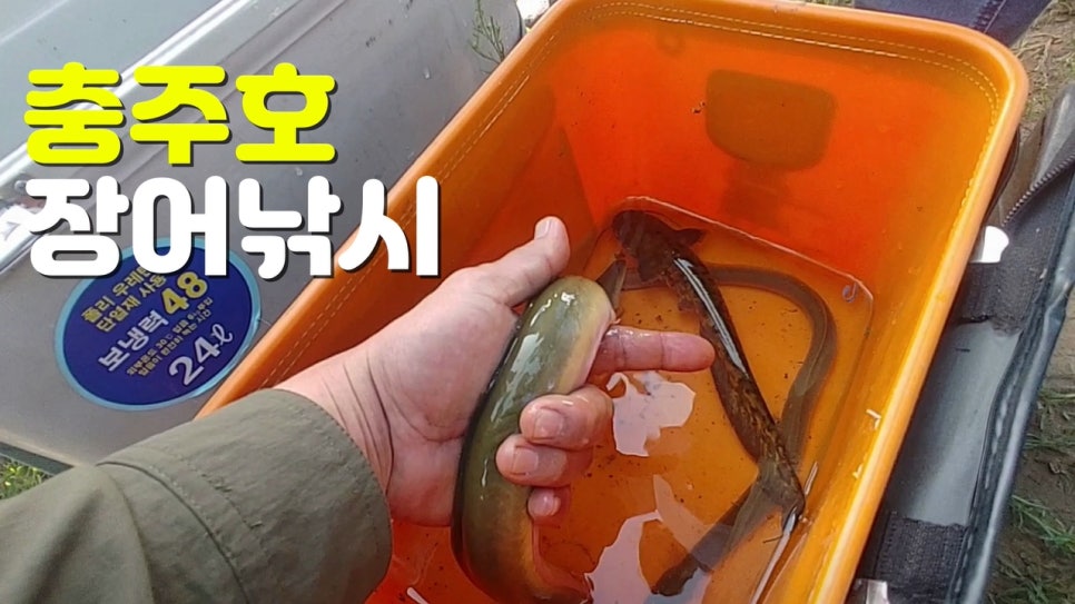 민물장어낚시 이미지