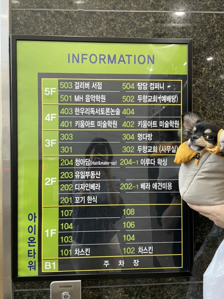 멍다방 이미지