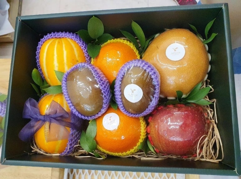 자인담 이미지