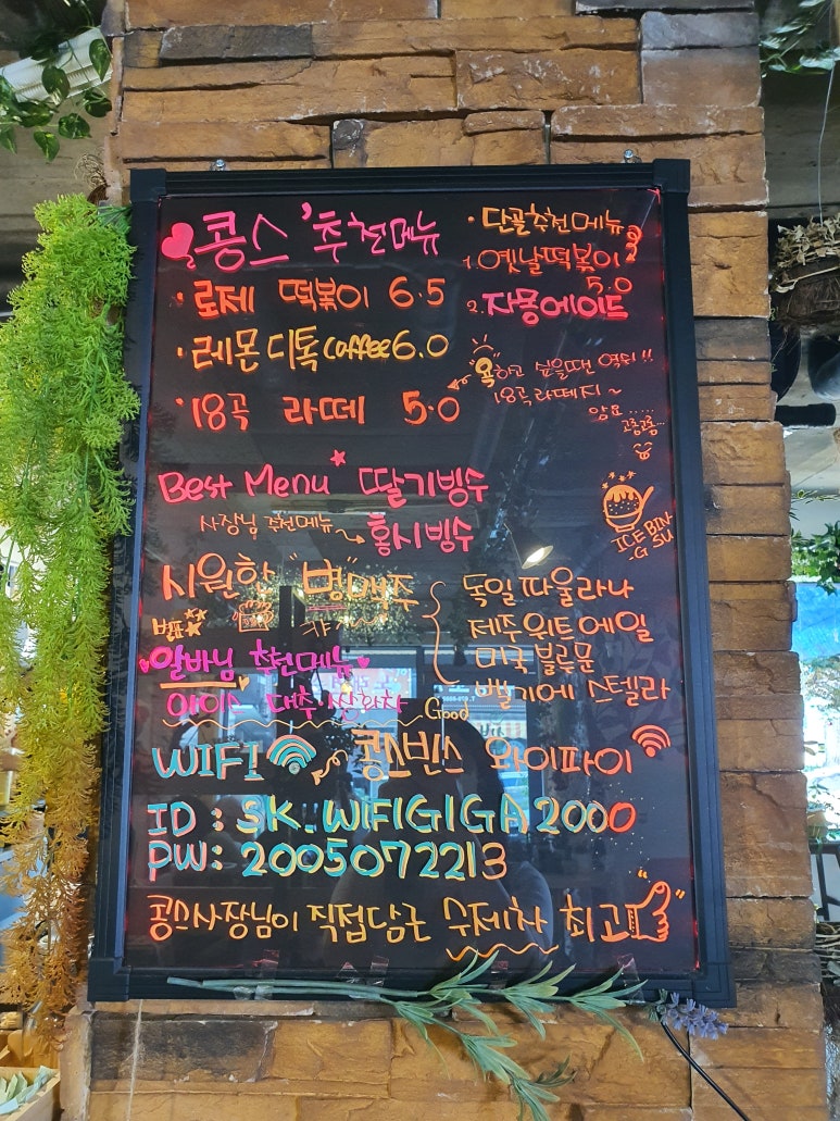 콩스빈스 이미지