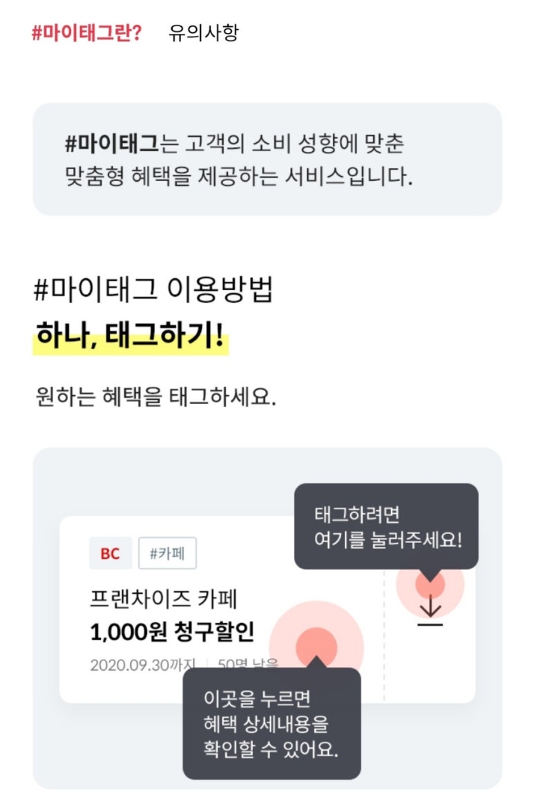 비씨무역 이미지