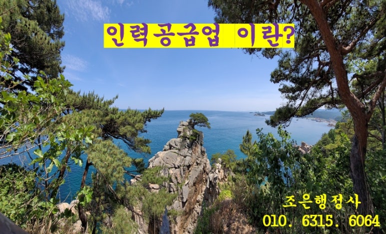 고용 알선업 이미지
