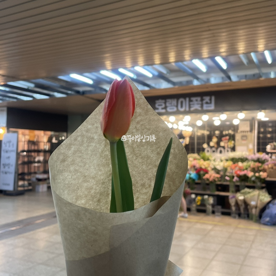 호랭이꽃집 이미지