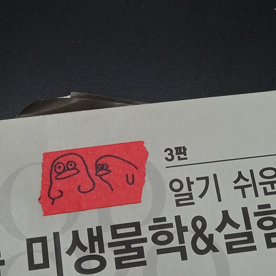 포우모카 이미지