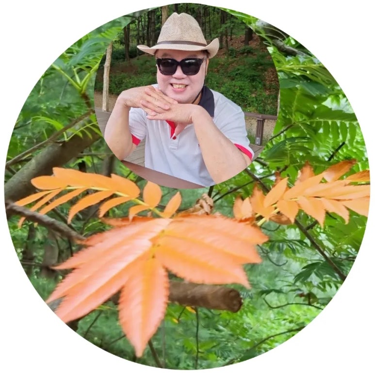 영상화원 이미지