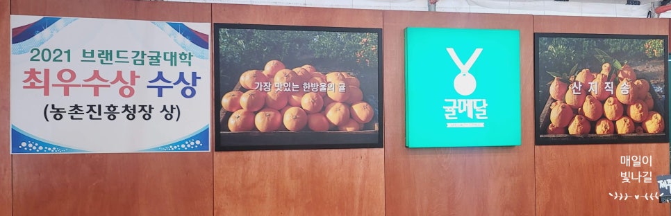 귤메달하우스 이미지