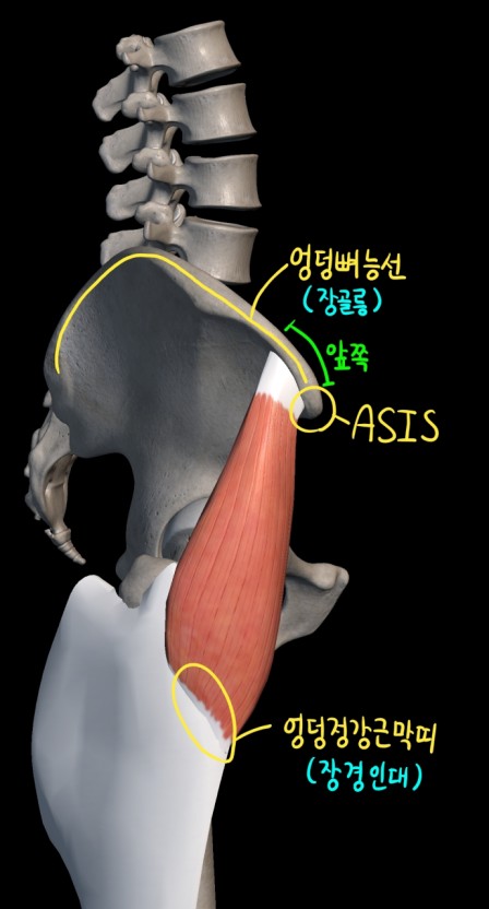 스타일피트 이미지