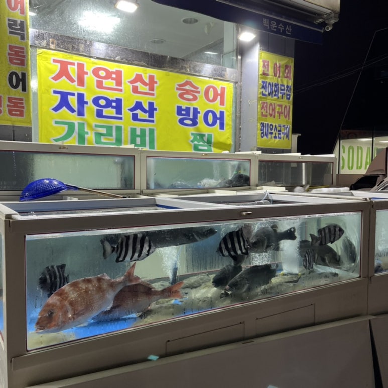 백운수산 이미지