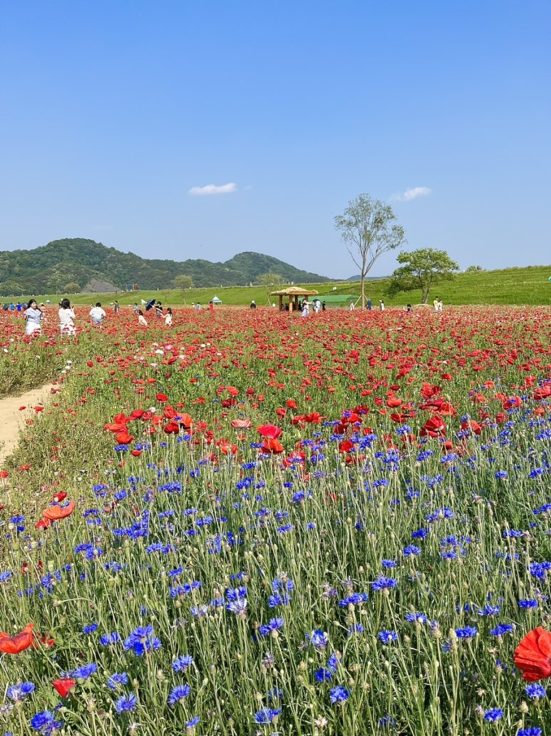 바른치킨함안점 이미지