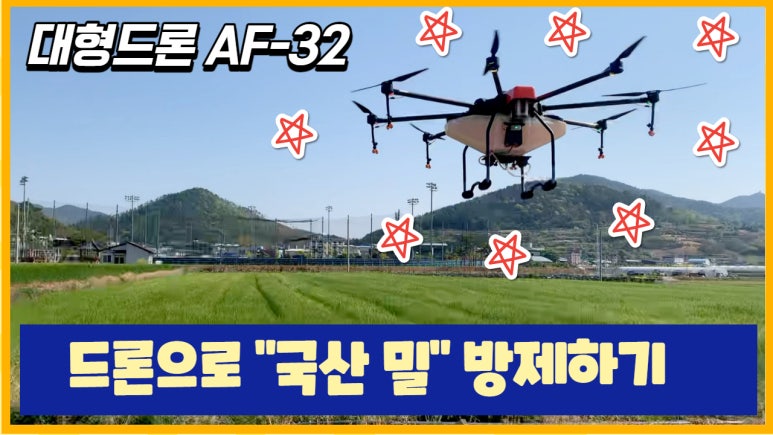에이에프아이 이미지
