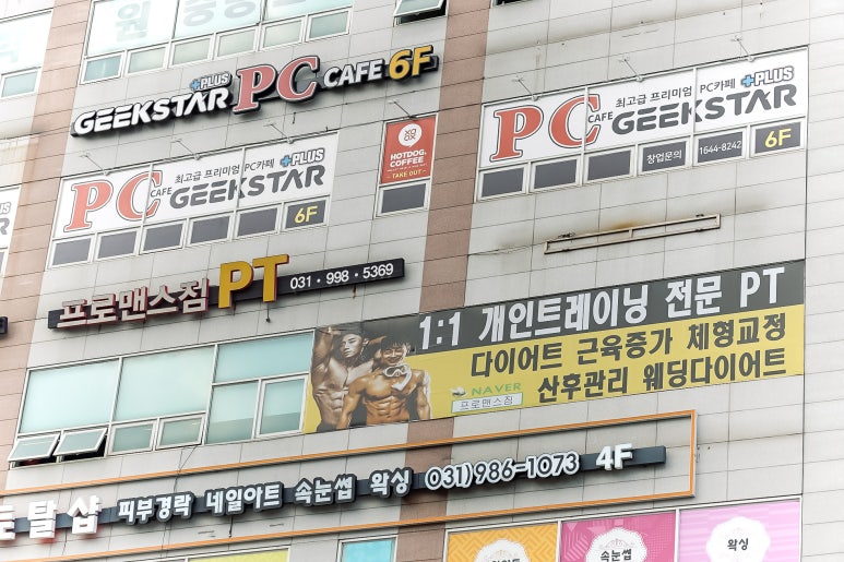프로맨스 이미지