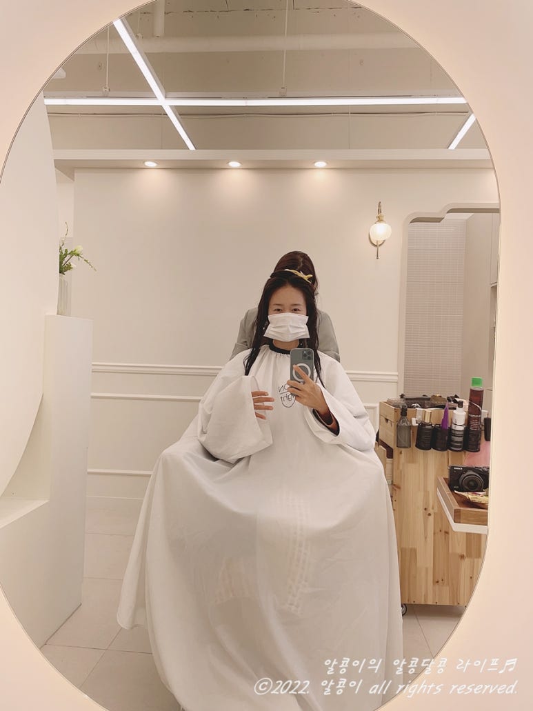 살롱딜라잇 이미지