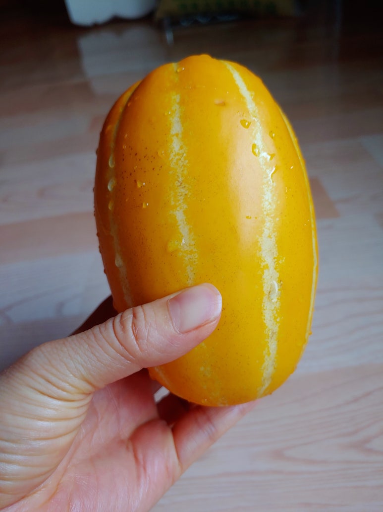 신일청과 이미지