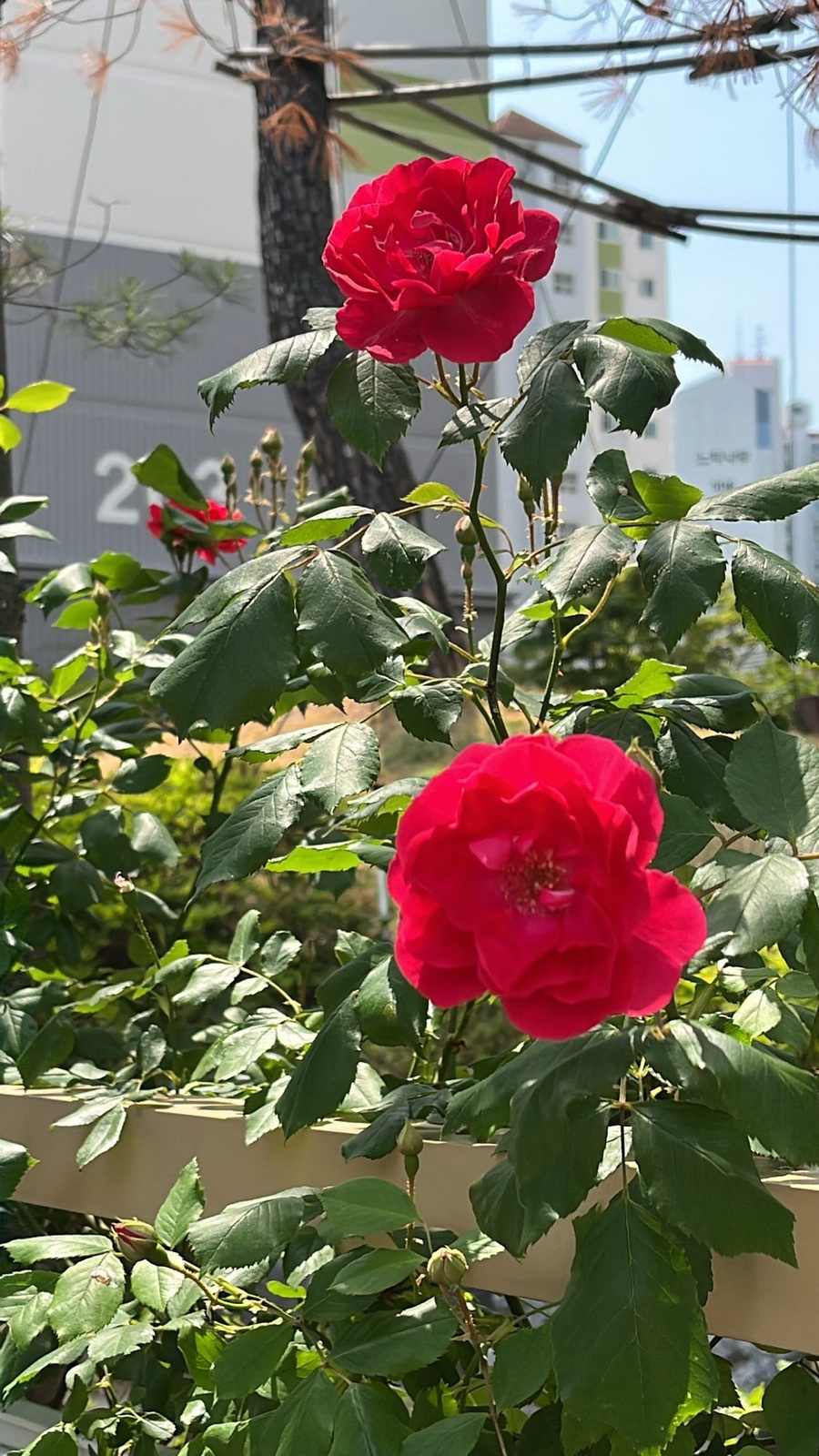 송림다방 이미지