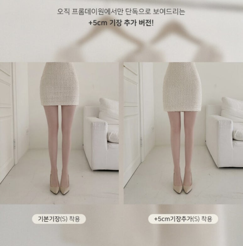 프롬프란 이미지