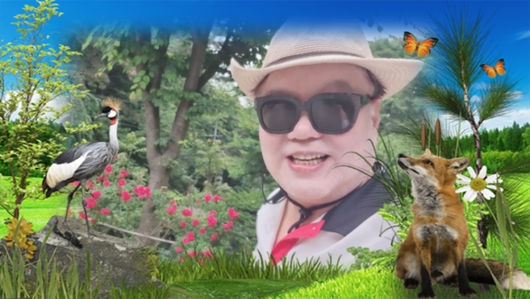 영상화원 이미지