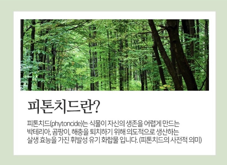 스터디카페피톤치드 이미지