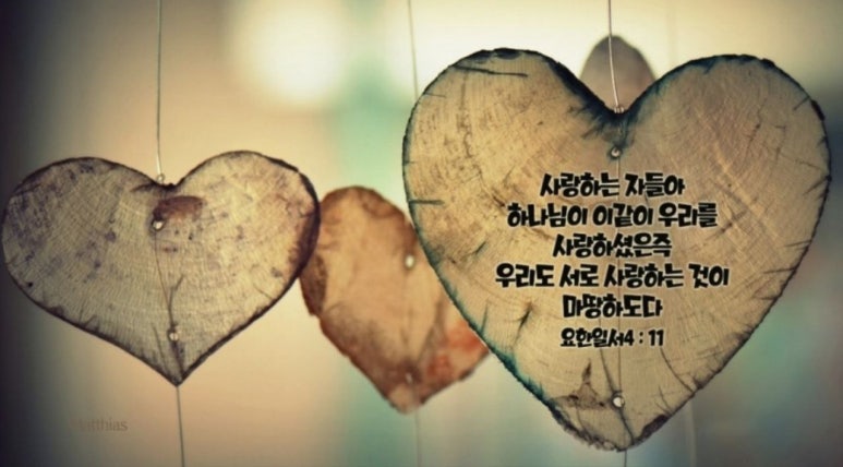 (주)생명나무 이미지