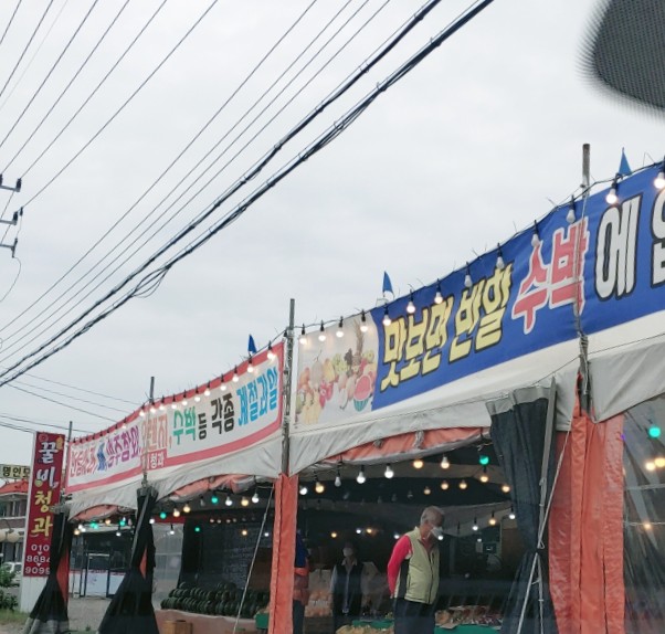 꿀비청과 이미지