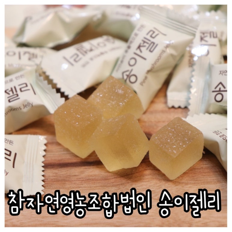 송이영농 이미지