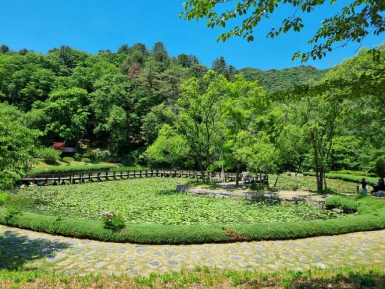 홍천칡냉면 이미지