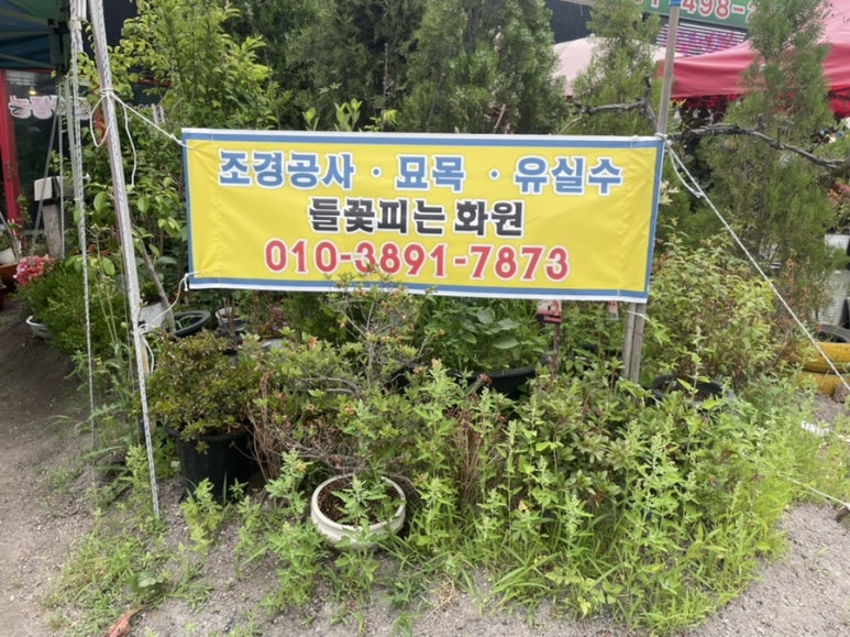 들꽃피는화원 이미지