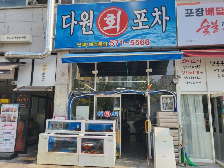 다원해삼 이미지