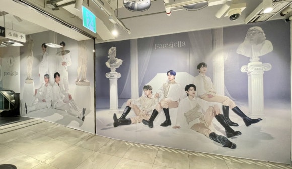 팔레트포레 이미지
