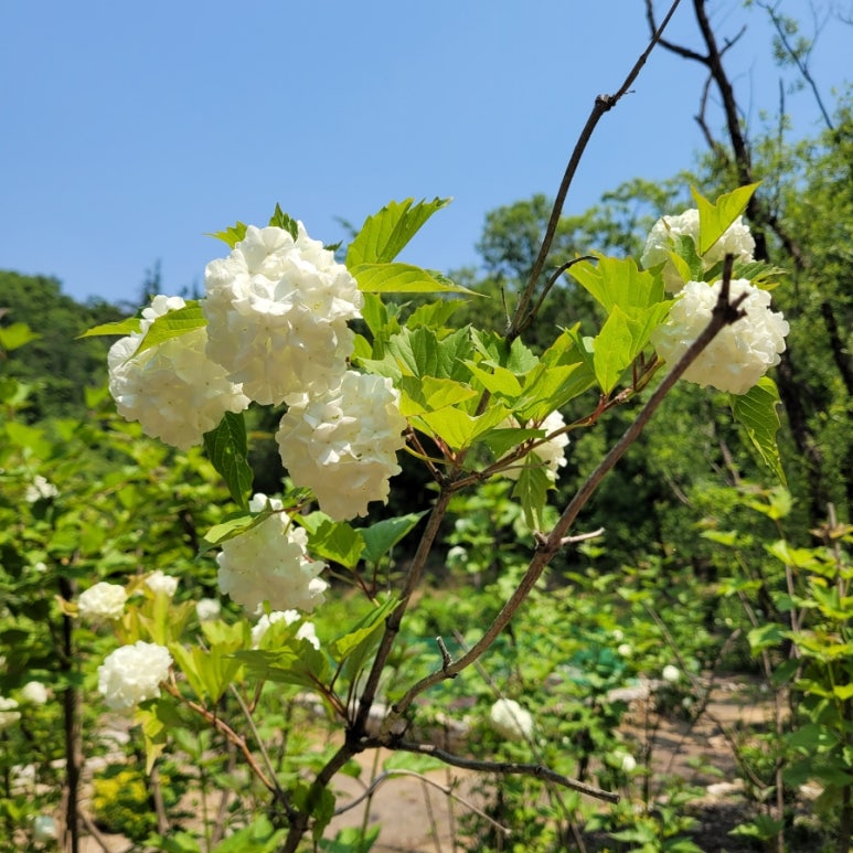 나인블럭가평DT점 이미지