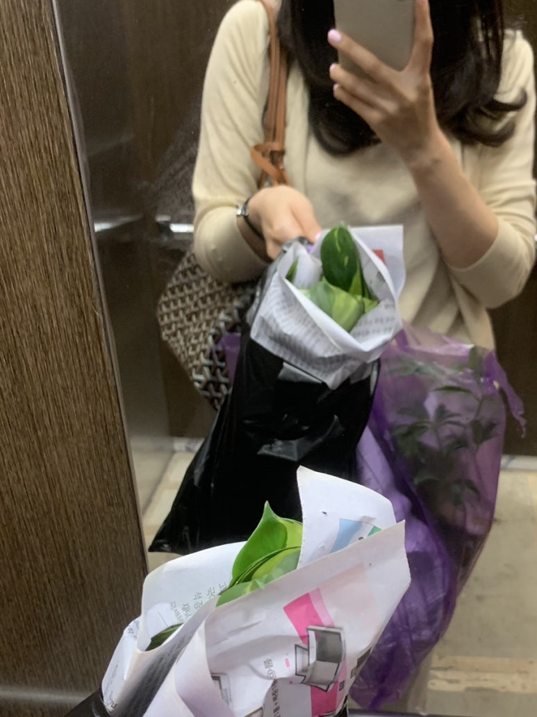 꽃단지농원 이미지