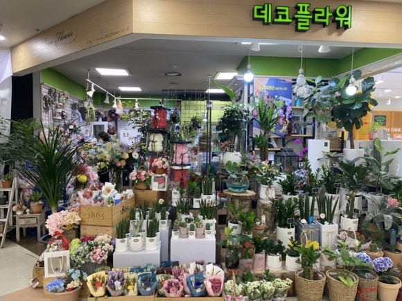 메이플라워데코 이미지
