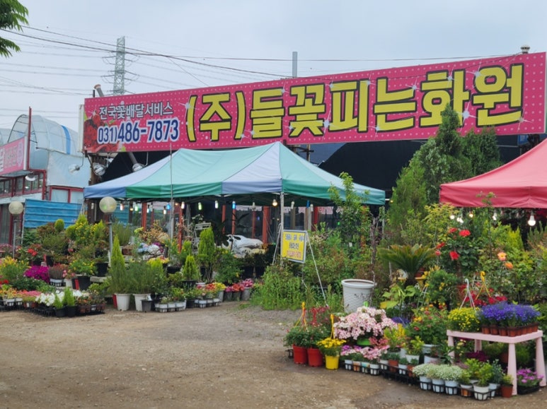 들꽃피는화원 이미지