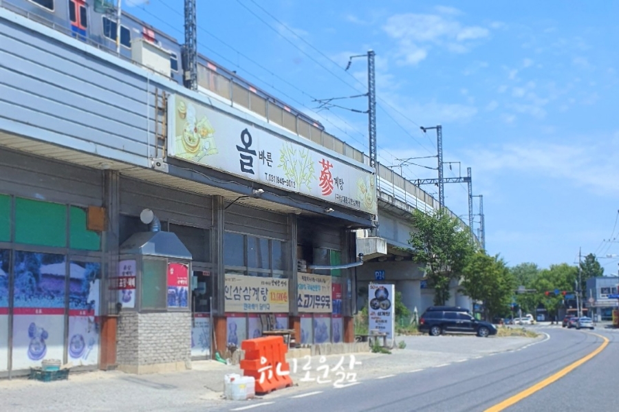 올삼 이미지