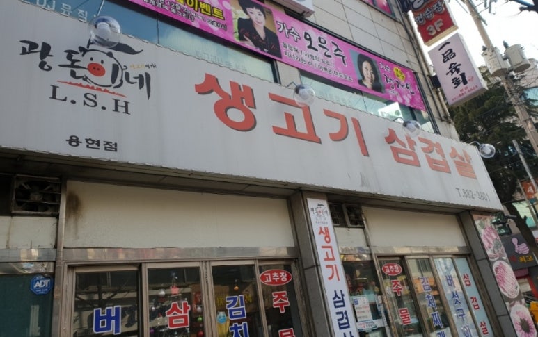 광돈이네 이미지