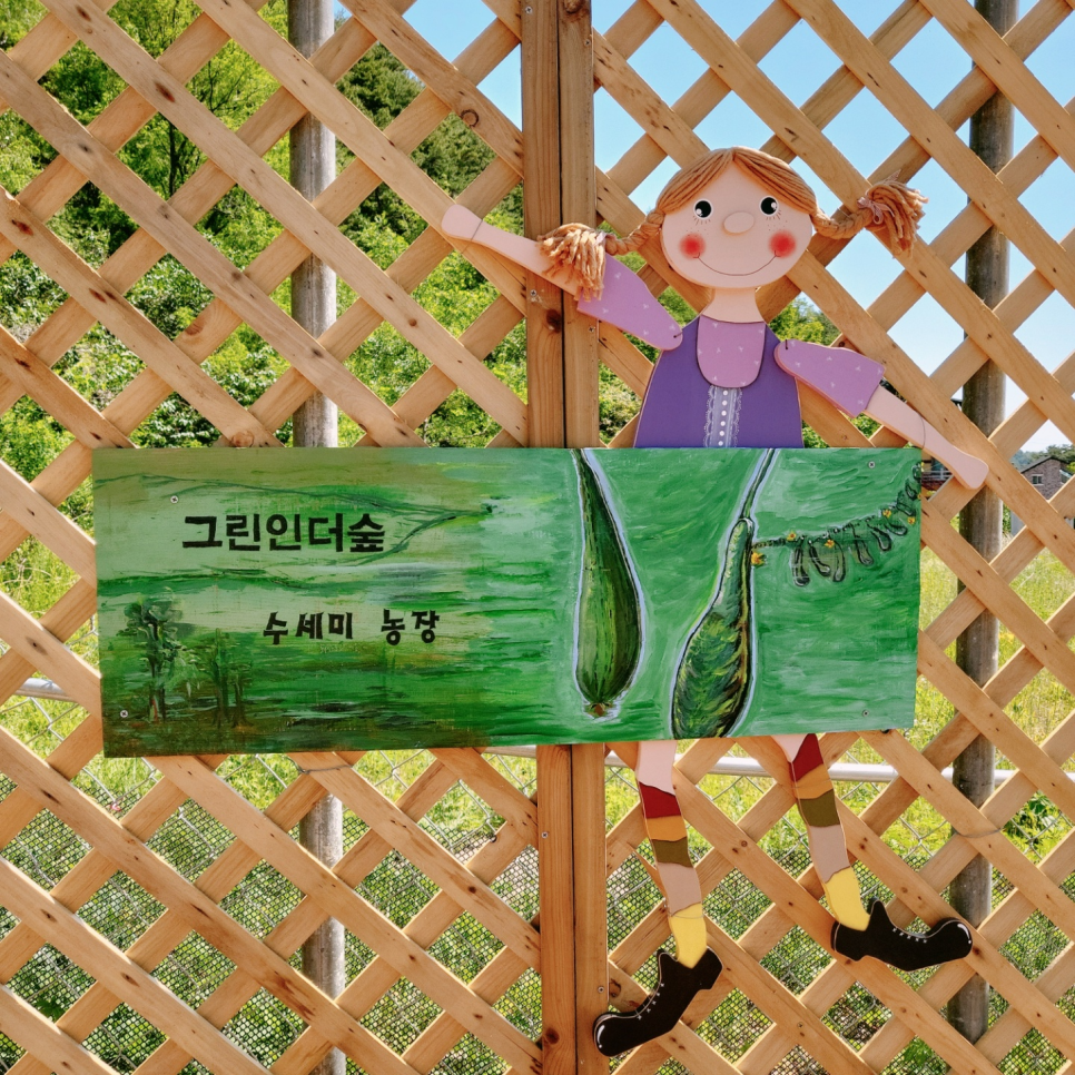 그린인더그린 이미지