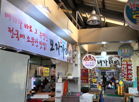 모자가리비 이미지