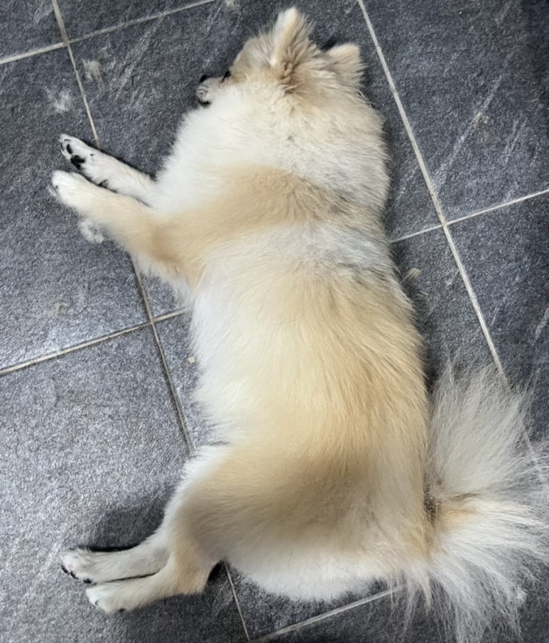엘커브 이미지