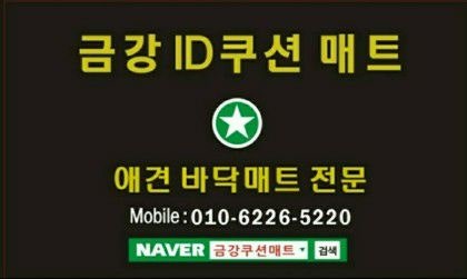 하이마이댕댕 이미지