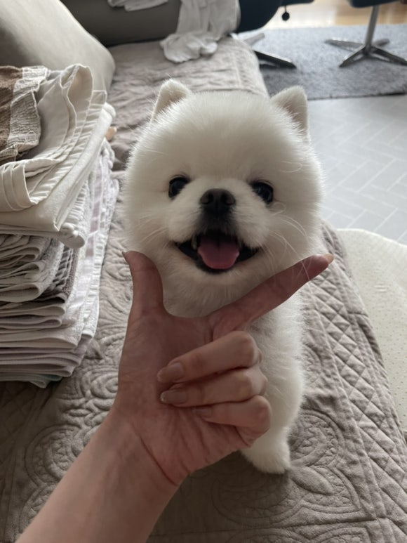 광수육회 이미지