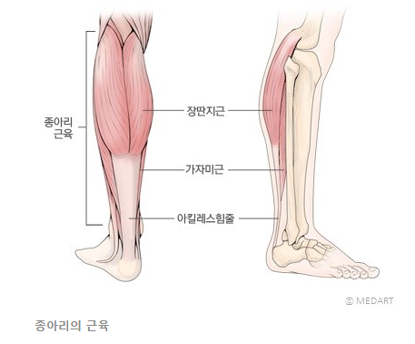피티타임 이미지